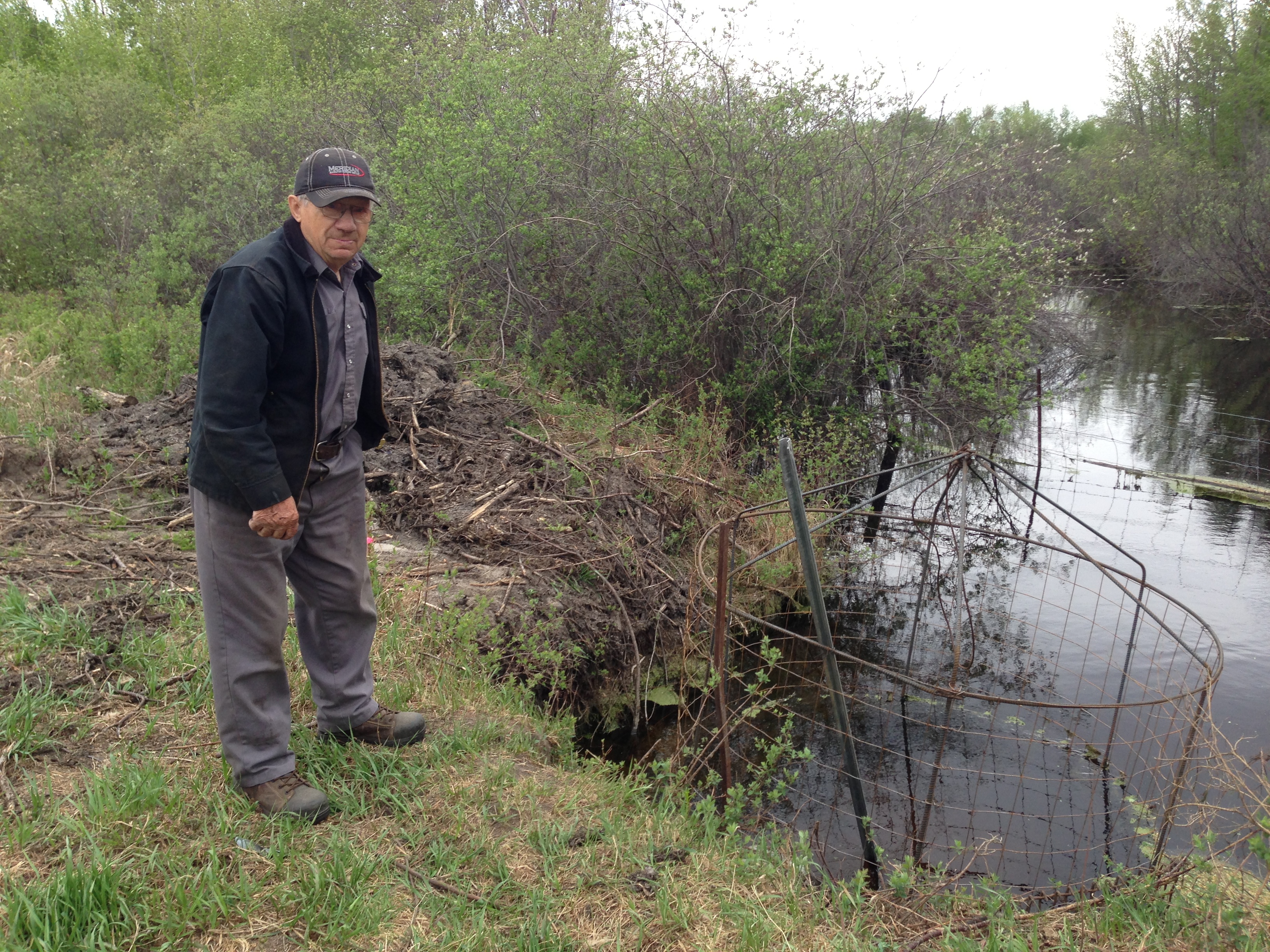 Adjacent%20landowner%20working%20on%20beaver%20problem.JPG