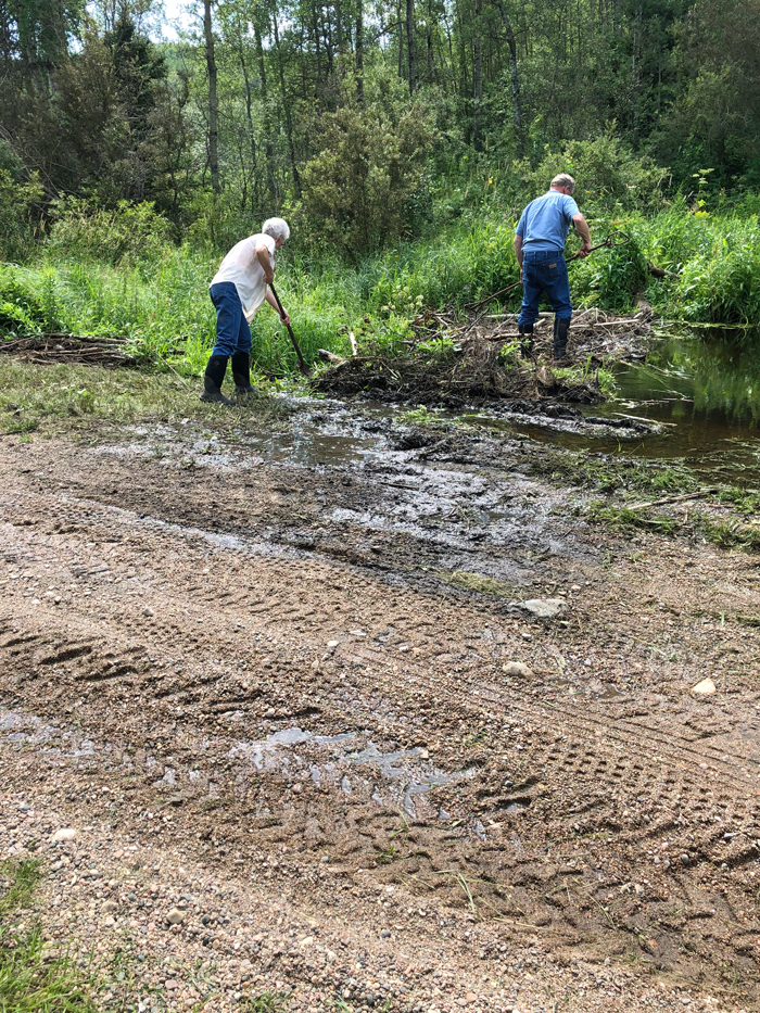 Beaver-damn-issues-near-Edouardville-%281%29-2.jpg