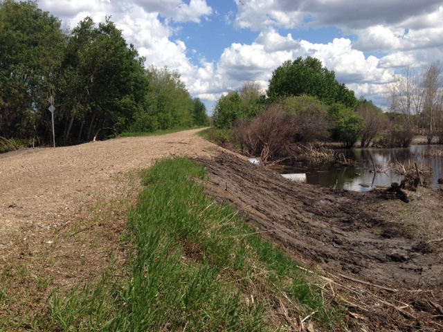 Culvert%20at%20Highway%2029%20Crossing%201.jpg